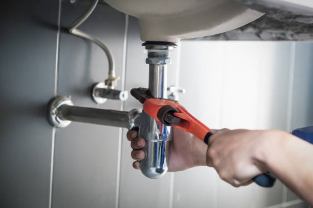 Best Clogged Drain Plumber  in Celina, OH